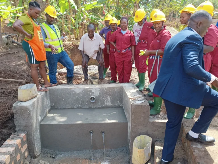 sustainability of water projects